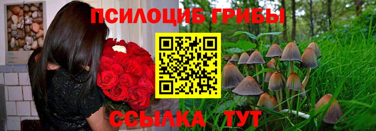 Павловский Посад  Псилоцибиновые грибы ЛСД  Вход с VPN 
