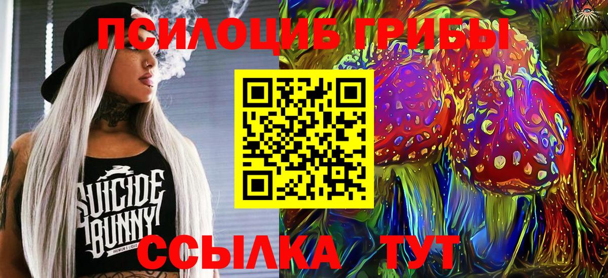 Галлюциногенные грибы MAGIC MUSHROOMS Павловский Посад